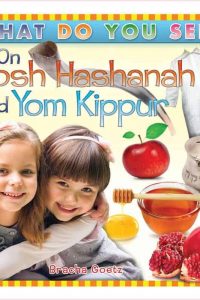 WHAT DO YOU SEE ON ROSH HASHANAH AND YOM KIPPUR?