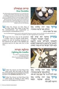 The Illustrated Haggadah