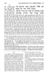 Schottenstein Edition of the Mishnah Elucidated [#06] - Gryfe Ed Seder Moed Volume 2 [Hardcover]