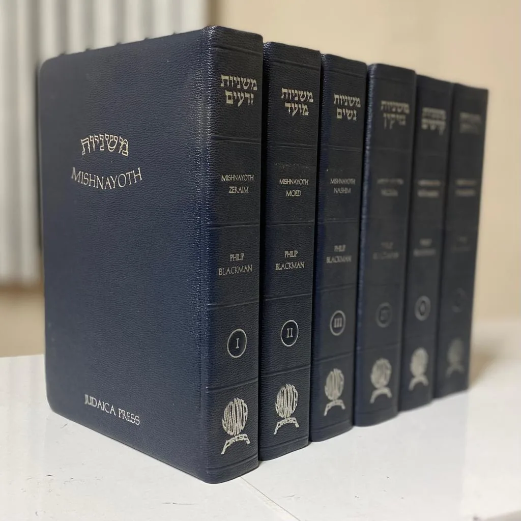 Mishnayoth, 6 volume set, Hebrew and English, Leather Blue - Hardcover