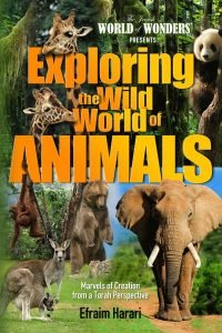 Exploring the Wild World of Animals