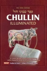 Chullin Illuminated