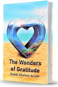 The Wonders of Gratitude [Paperback]