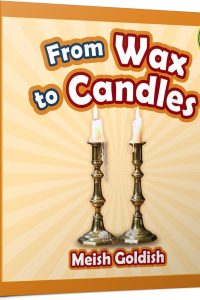 From Wax to Candles