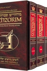 Schottenstein Interlinear Machzor Five Volume Slipcase Set - Full Size Ashkenaz