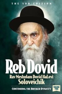 Reb Dovid, Volume 2