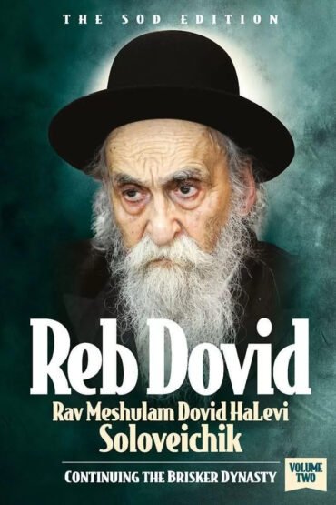 Reb Dovid, Volume 2