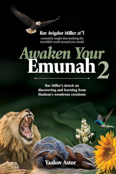 Awaken Your Emunah 2