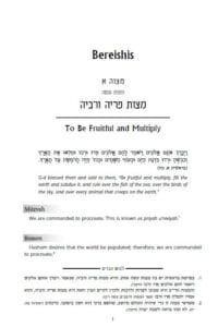 Badei HaMitzvos, Volume 1