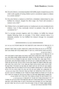 Badei HaMitzvos, Volume 1