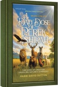 A Daily Dose of Perek Shirah - Deluxe Edition Lucite Cover