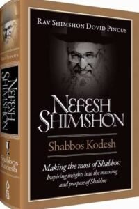 nefesh shimshon: shabbos kodesh