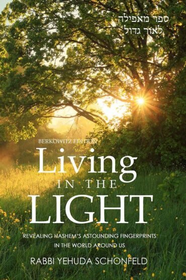 Book cover of Living in the Light featuring a sunlit tree.