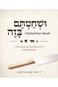 Book cover for The Chullin and Shechita Companion.