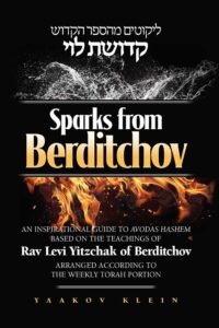 Book cover of Sparks from Berditchov by Yaakov Klein.