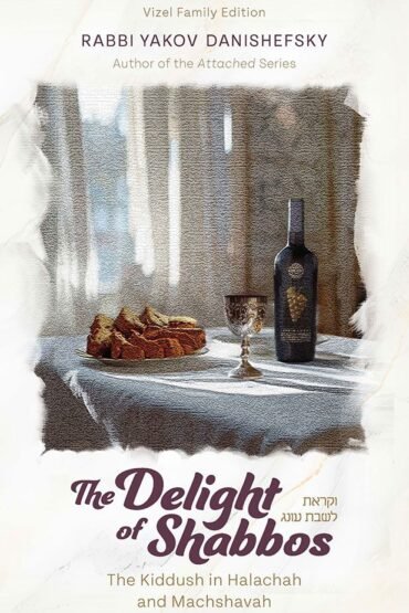 Book cover for The Delight of Shabbos by Rabbi Danishefsky.