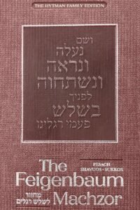 The Feigenbaum Machzor book cover with silver Hebrew lettering.