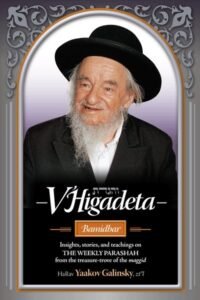 Book cover featuring HaRav Yaakov Galinsky and Torah insights.
