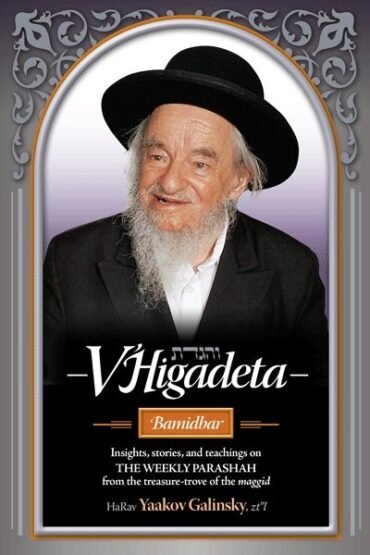 Book cover featuring HaRav Yaakov Galinsky and Torah insights.