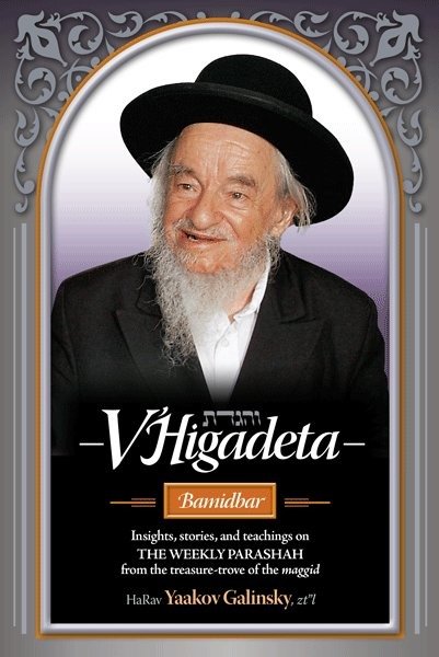 Book cover featuring HaRav Yaakov Galinsky and Torah insights.