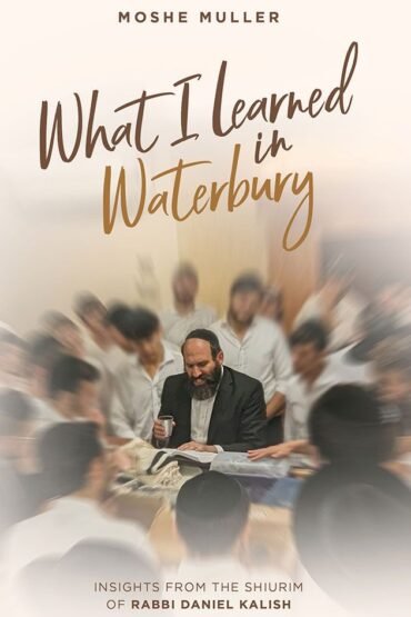 Book cover for 'What I Learned in Waterbury' by Moshe Muller.