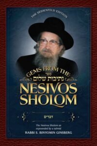Book cover for Gems from the Nesivos Sholom.