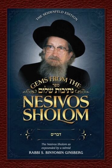 Book cover for Gems from the Nesivos Sholom.