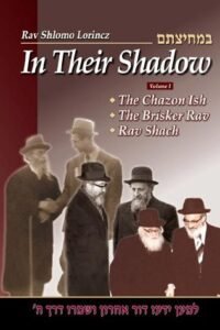 Book cover of 'In Their Shadow' featuring prominent Jewish rabbis.
