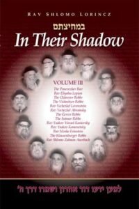Book cover of 'In Their Shadow' with portraits of rabbis.